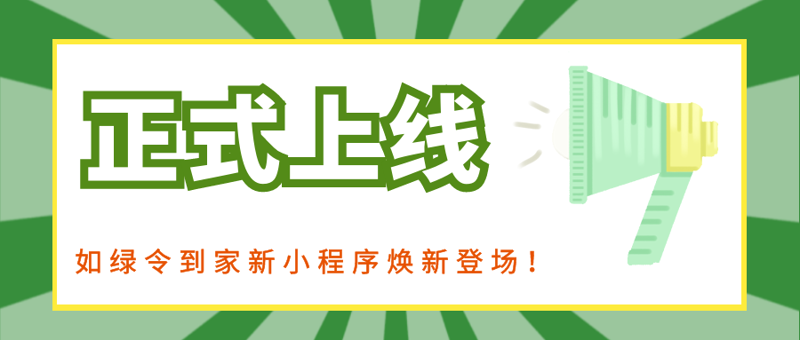 访谈记录:浅谈网络科技有限公司的行业定位与发展前景